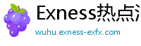 Exness热点汇聚